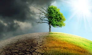 1 dezastru natural shutterstock 1269582256 jpg jpeg