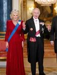 Charles, Camilla, vizită de stat 2023, GettyImages jpg