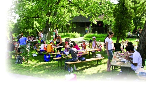 1 46378 original jpg jpeg