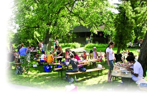 1 46378 original jpg jpeg