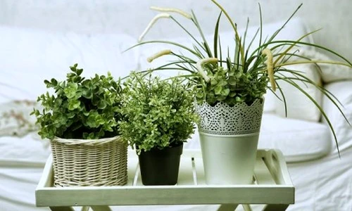 1 71328 original jpg jpeg