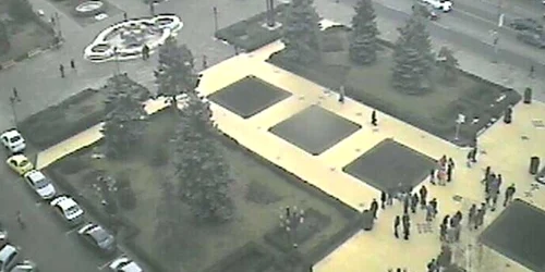 protest apicultori ploiesti