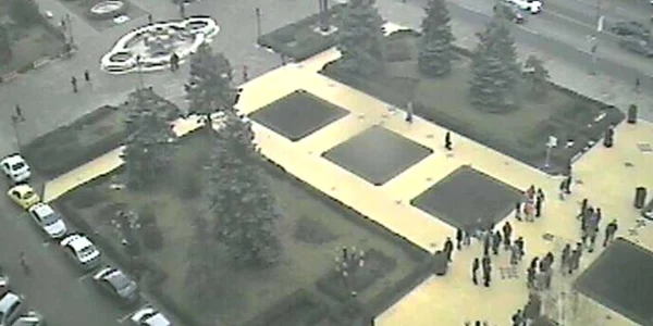 protest apicultori ploiesti