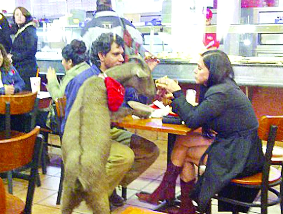 
    Un bărbat, o femeie şi o capră au mâncat cu poftă pizza la un restaurant celebru din Manhattan, joi seară  