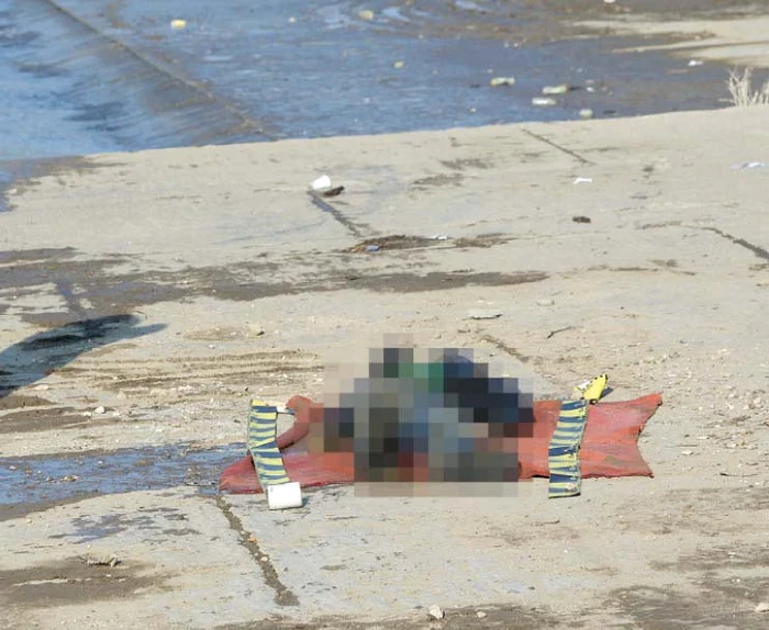 
    Trupul lui Stan Iavaz  a fost mâncat până la  os de câinii vagabonzi  