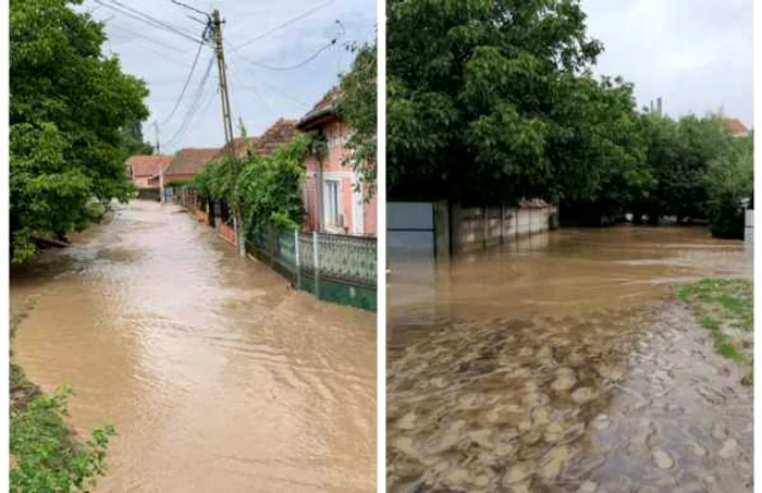 alba inundatii galda de jos