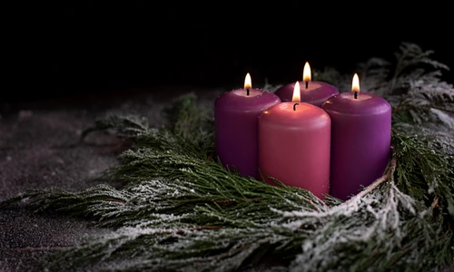 64 65 shutterstock 2082380233 jpg