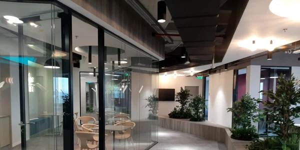 Studiouri Cognizant