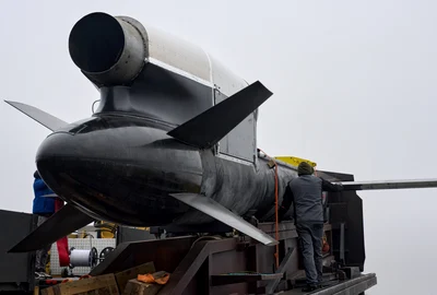 Dronele Flamingo sunt produse de compania privată Fire Point FOTO profimedia jpg