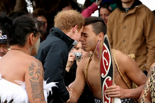 6 harry maori jpg jpeg