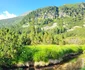 Rezervația Științifică Gemenele din Retezat Foto Ottmar Trașcă Facebook (51) jpg