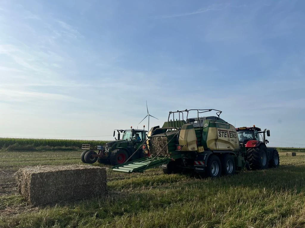 O mare companie olandeză își vinde fabrica, utilajele și terenurile din România: 800 de hectare disponibile pentru investitori