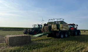 484137707 1051126313705846 2933852267420683373 n jpg