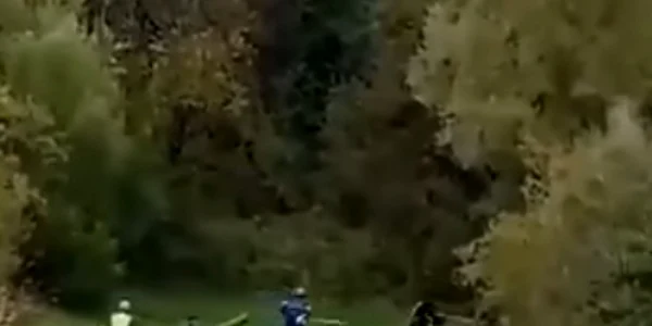 lupta cu urs vrancea