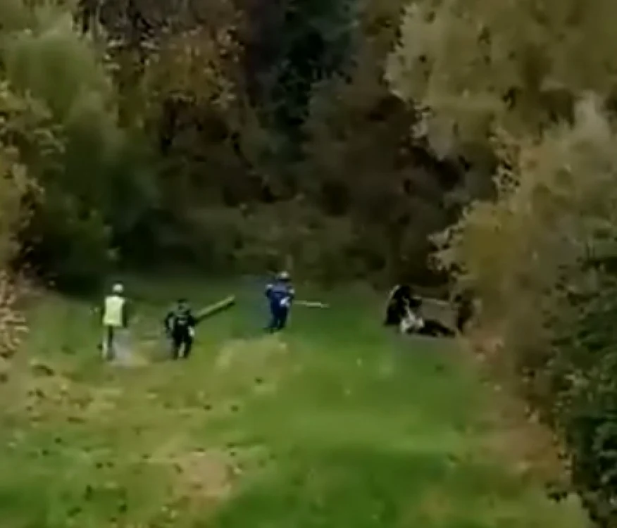 Bătălia cu ursul