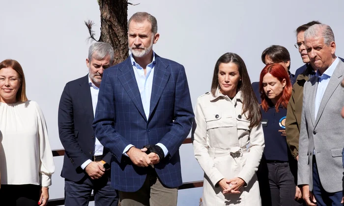 Regele Felipe al Spaniei cu mana bandajata   profimedia 0816429184 jpg