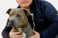 mihai nae instructor canin JPG