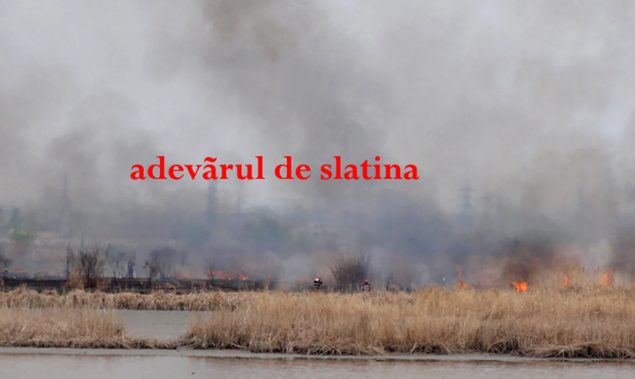 Fumul gros al incendiului a putut fi zărit de la mai mulţi kilometri distanţă