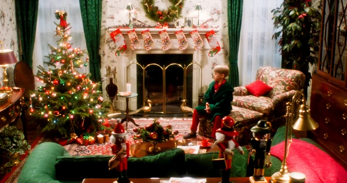 home alone profimedia 0563024917 jpg