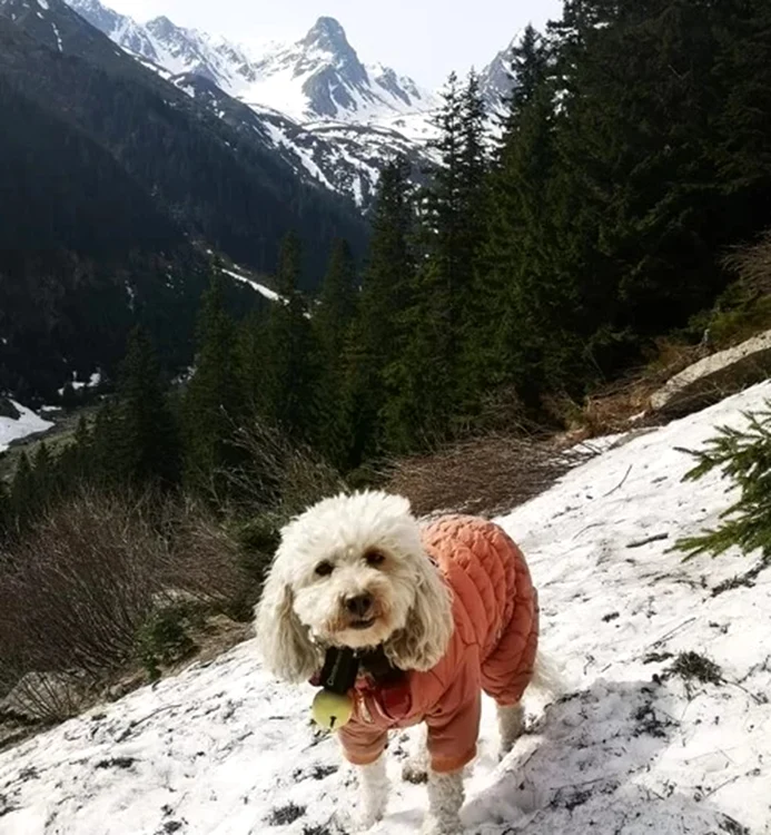 Zoe Alpinista are atestat de montaniard / foto: Facebook