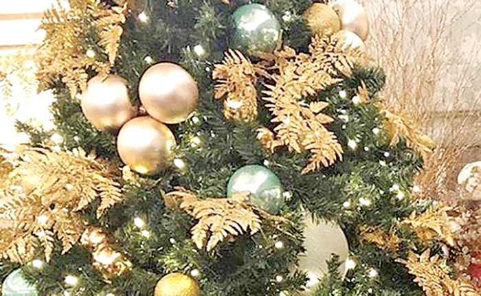 
    Jessica Alba a apelat la ajutorul unei prietene pentru a împodobi bradul  