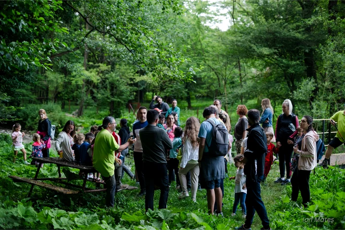 Festivalul licuricilor din Costesti Vâlcea Foto Oltenia de sub munte geoparc aspirant UNESCO