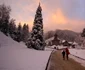 Mănăstirea Prislop locul de veci al lui Arsenie Boca Foto Daniel Guță ADEVĂRUL (10) JPG