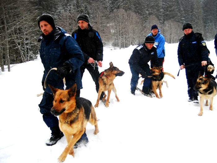 Jandarmi în misiune în staţiuni montane Foto: Mediafax