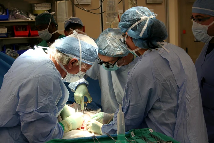 Peste 100.000 de persoane din SUA se află pe lista de așteptare pentru transplanturi. FOTO: Pixabay
