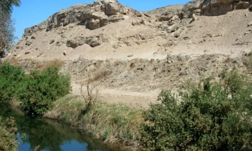 Cele mai vechi reprezentari artistice pe rocã din Egipt jpeg