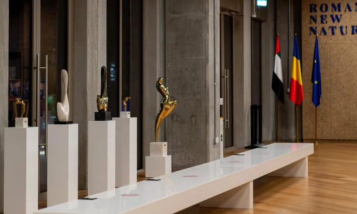 Artă românească, la Crossroads of Civilizations Museum din Dubai / FOTO jpeg