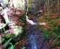 Cascada din Valea Rea Foto Daniel Guță (1) jpg