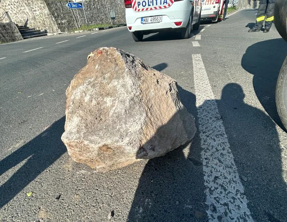 Accident produs din cauza unui bolovan FOTO: SAJ Arad