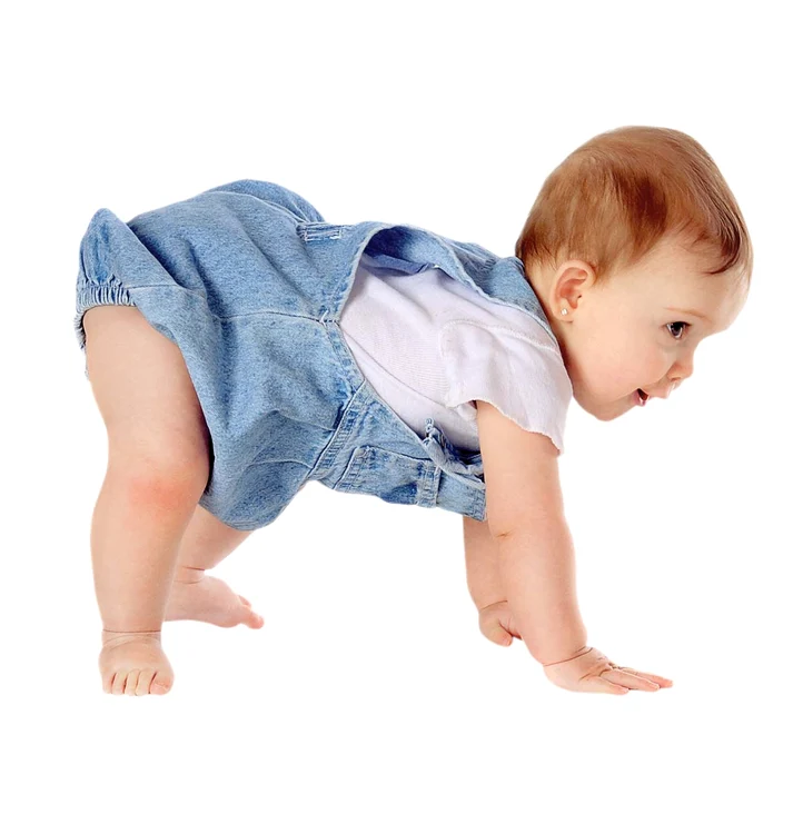 Foto: Shutterstock