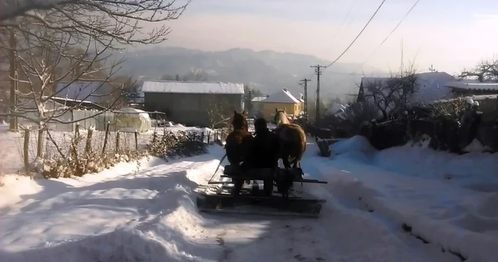 motaieni deszapezire cu plugul