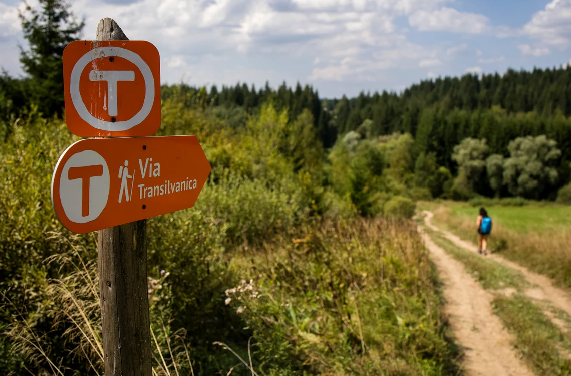 MedLife & Via Transilvanica 1 png