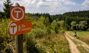 MedLife & Via Transilvanica 1 png