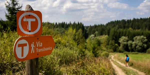 MedLife & Via Transilvanica 1 png