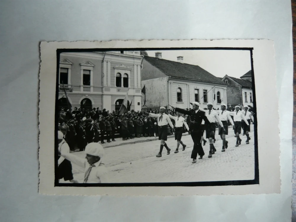 cercetasi zalau foto marin pop