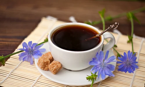 Infuzia de cicoare se prepară din frunze și flori jpeg