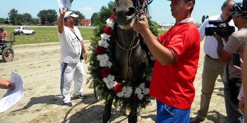 derby trap ploiesti