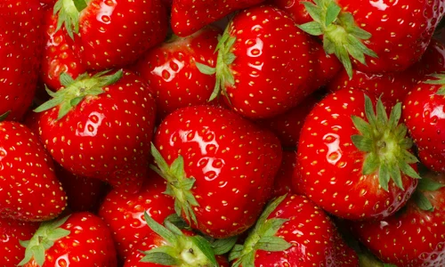 shutterstock 117762442 jpg