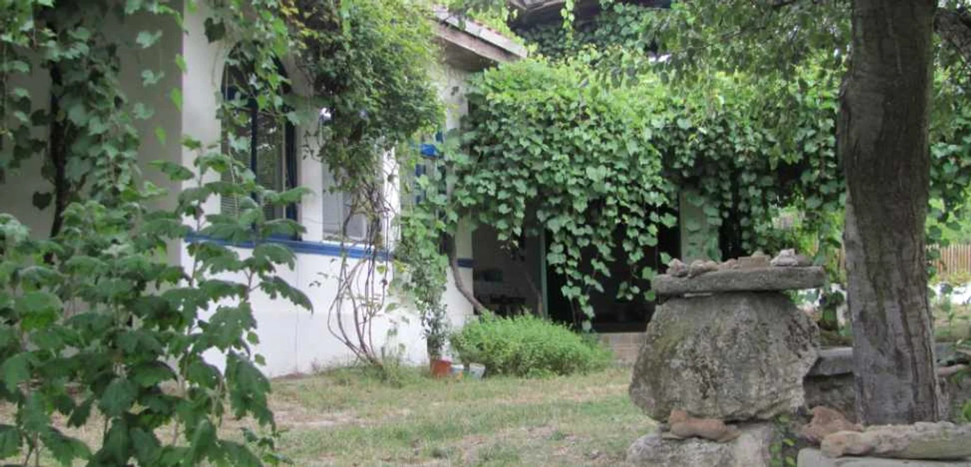 Raiul arhitectului Vlad Calboreanu de la Izvoarele - Constanţa - Dobrogea Foto Sînziana Ionescu