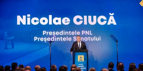 pnl jpg