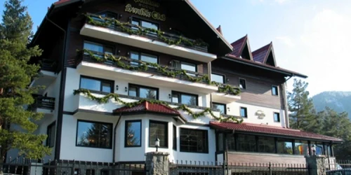 Hotel Simona Halep
