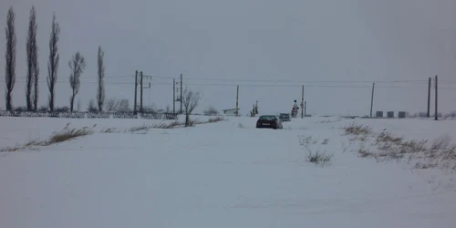 Câmpurile acoperite de zăpadă au fost mai puţin afectate de ger