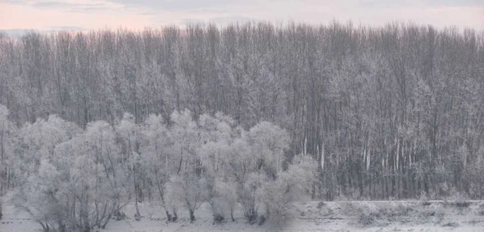 Iarna pune stăpânire pe Bărăgan Foto:Adevărul