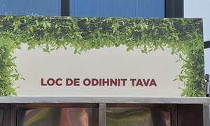 p 24 D Stanciu jpg