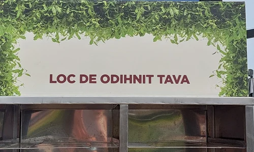 p 24 D  Stanciu jpg