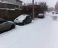 iarna tulcea